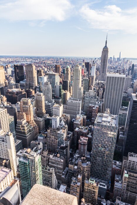 Poster New York dall'alto