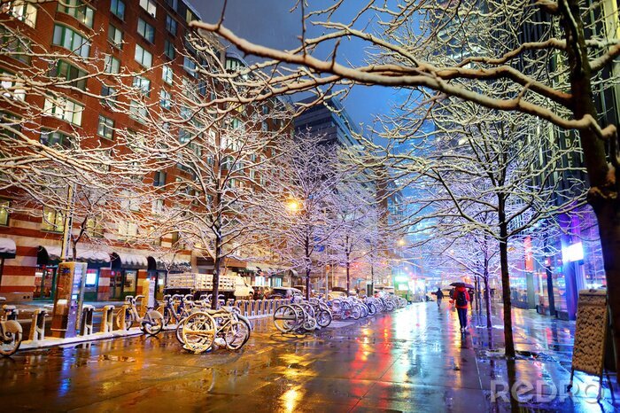 Poster New York in de winter