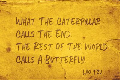 noemt een vlinder Lao Tzu