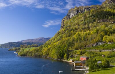 Poster Noors landschap met een fjord