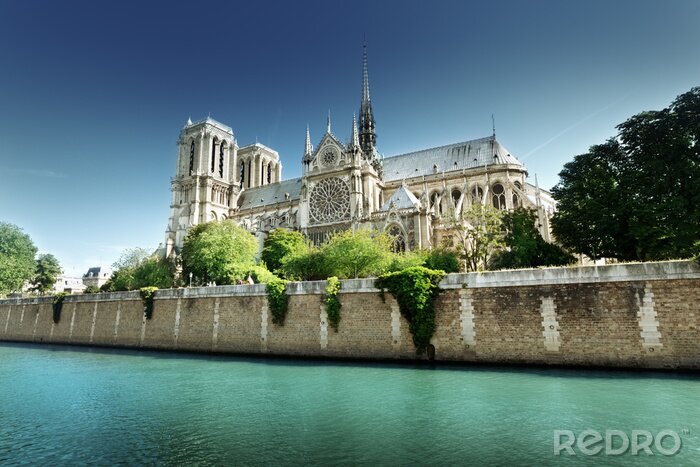 Poster Notre Dame in Parijs, Frankrijk