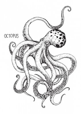 Poster Octopusillustratie met bijschrift