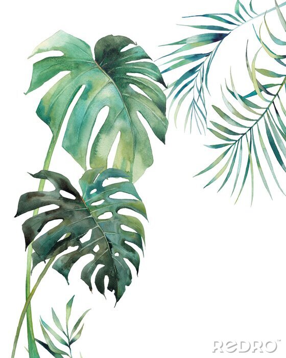 Poster Oerwoudplanten geschilderd met waterverf