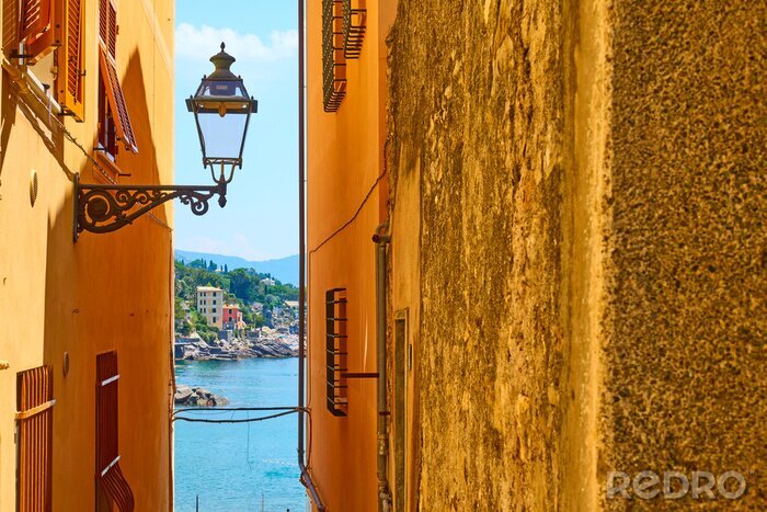 Poster Old street by the sea in Bogliasco