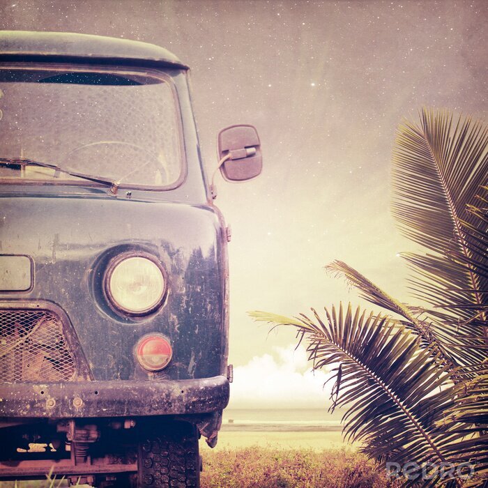 Poster Oldtimers en palmbomen