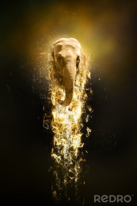Poster Olifant in de gloed van het licht
