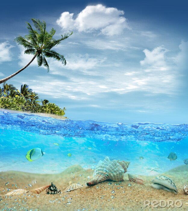 Poster Onderwaterwereld en strand