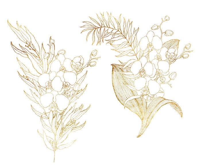 Poster Orchidee gemaakt met een bruine lijn