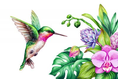 Poster Orchidee in een boeket en een kleurrijke kolibrie