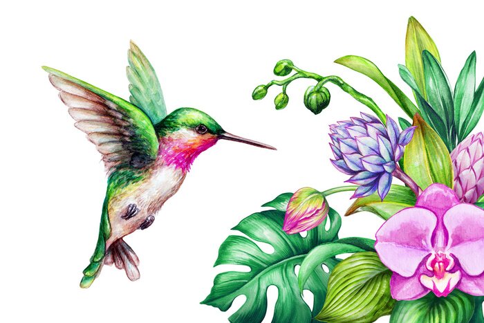 Poster Orchidee in een boeket en een kleurrijke kolibrie