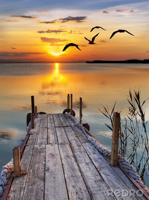 Poster Oude pier met touwen