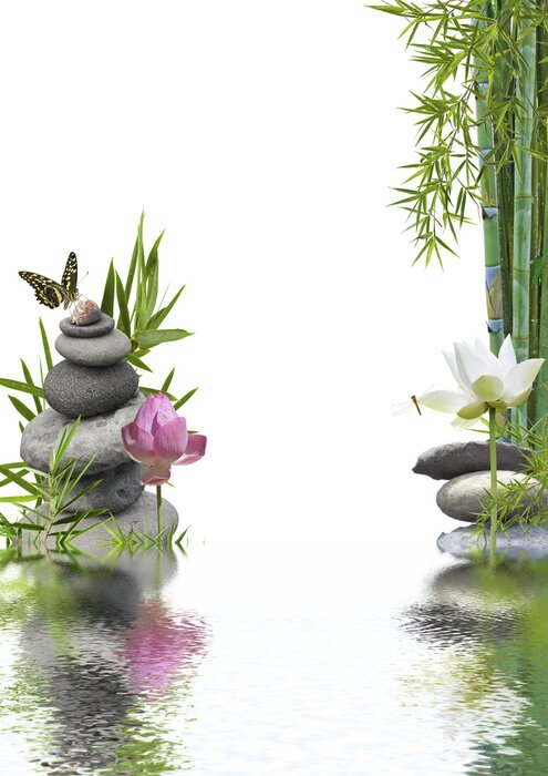 Poster Overwoekerde stenen omgeven door groene planten