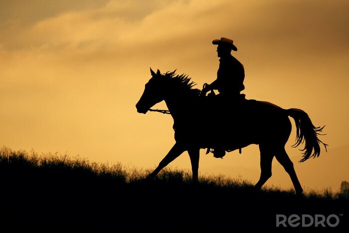 Poster Paard en cowboy