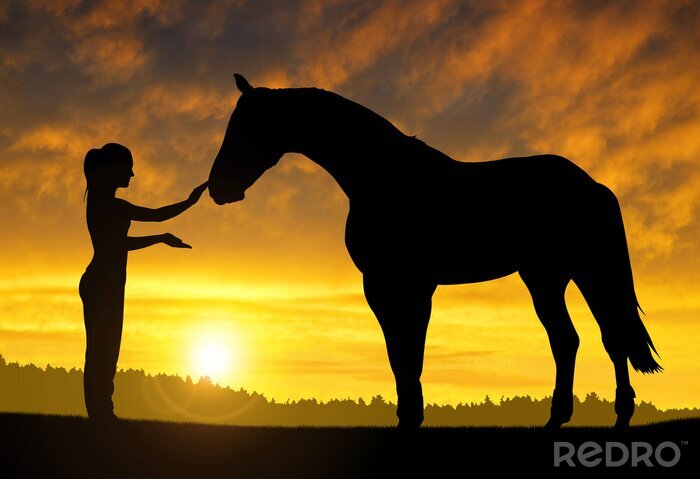 Poster Paard en vrouw bij zonsondergang