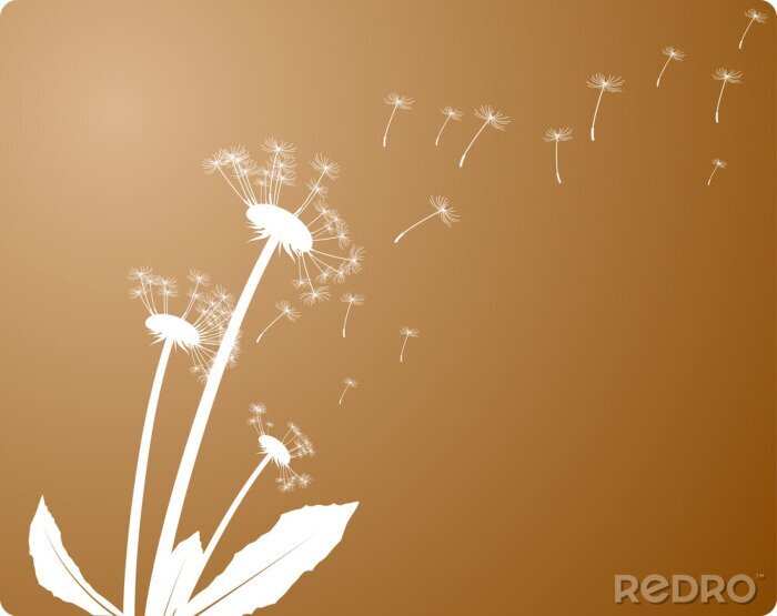 Poster Paardebloem bloemen met vliegende zaden
