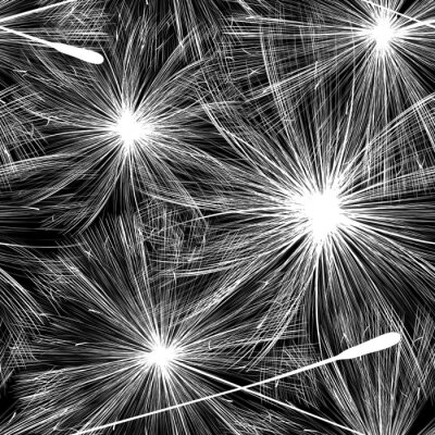 Behang Paardebloem zwart-wit groot patroon