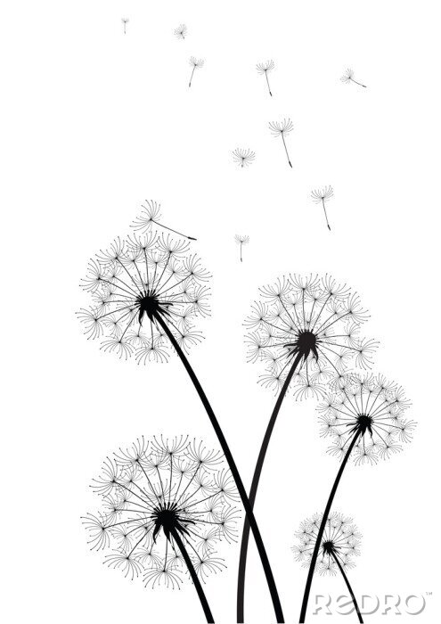 Poster Paardebloemen geblazen door de wind