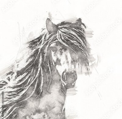 Poster Paardenbuste in potloodschetsstijl
