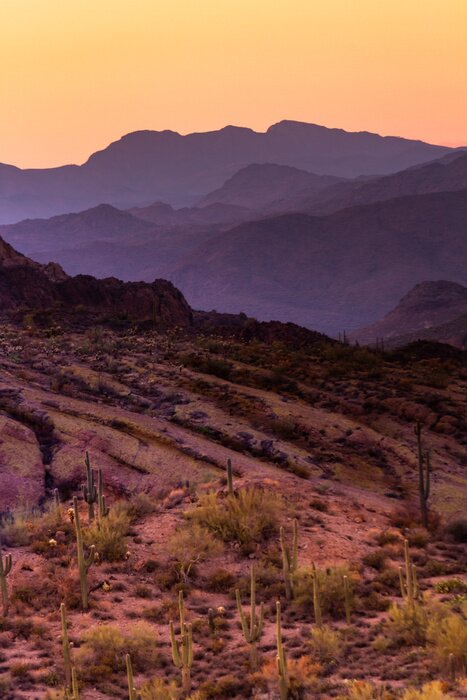Poster paarse woestijn