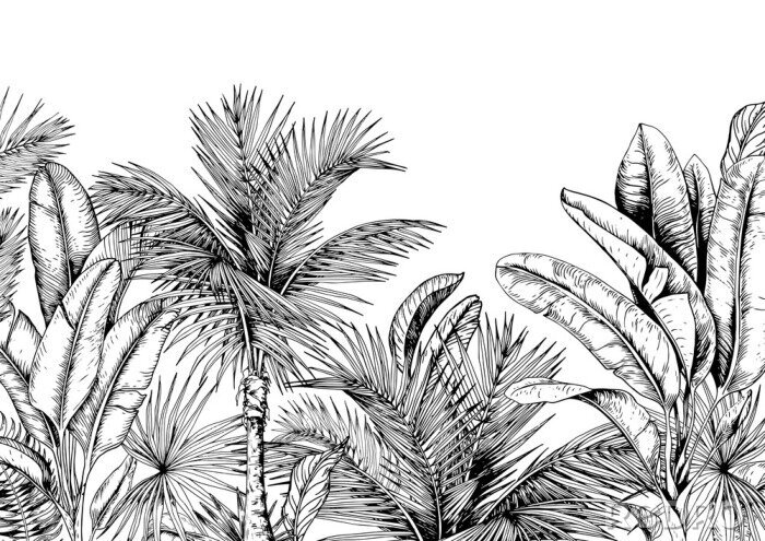 Poster Palm- en bananenbladeren