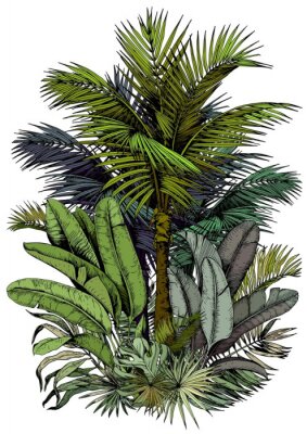 Palm en bladeren zoals geschilderd