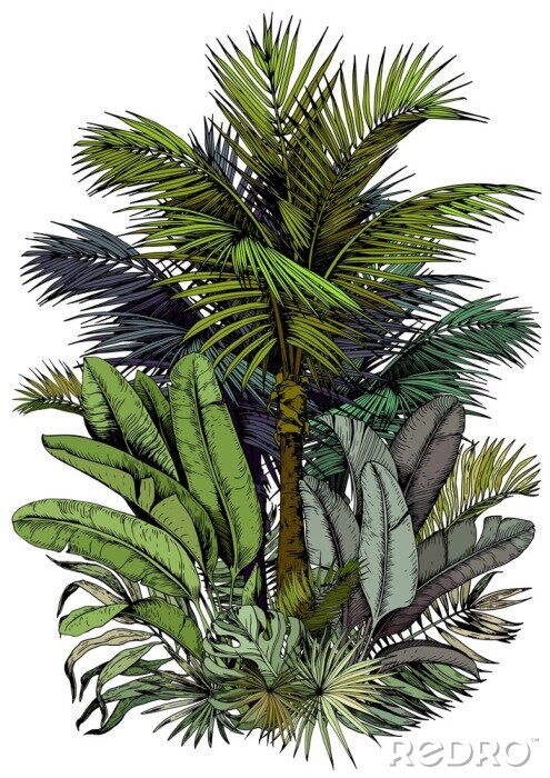 Poster Palm en bladeren zoals geschilderd
