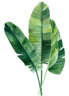 Poster Palmbladeren in groene patronen