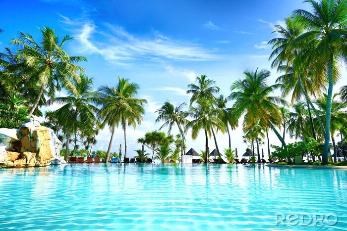 Poster Palmbomen bij een zwembad