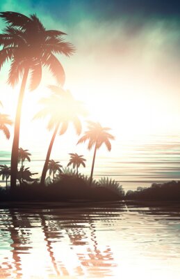 Poster Palmbomen bij zonsondergang over het water