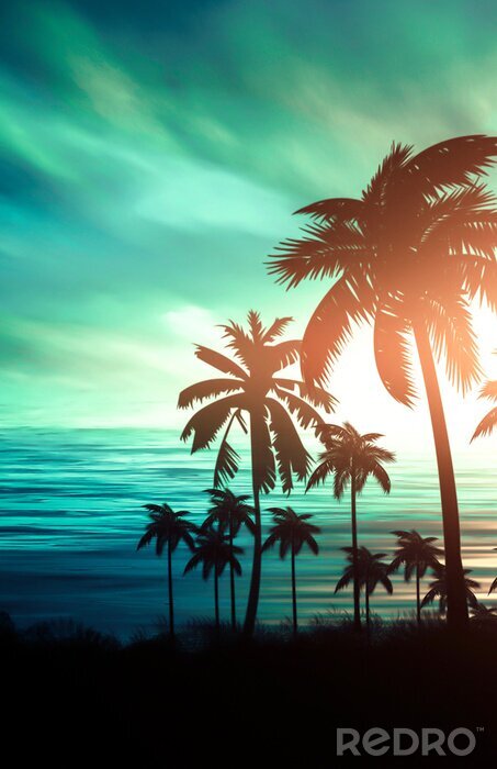 Poster Palmbomen tijdens zonsondergang