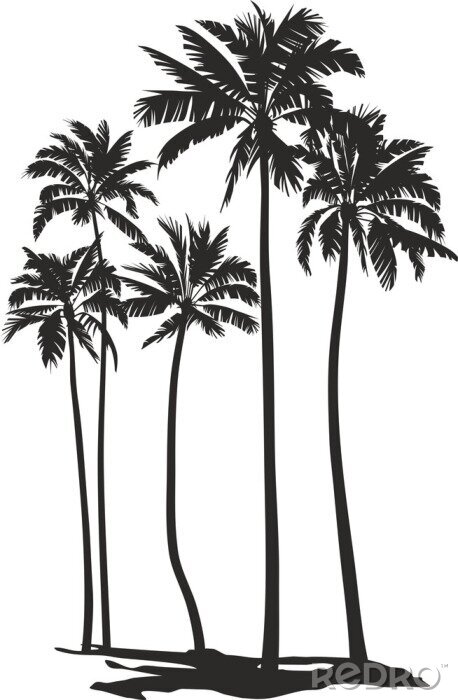 Poster Palmbomen zwart-wit donkere contouren