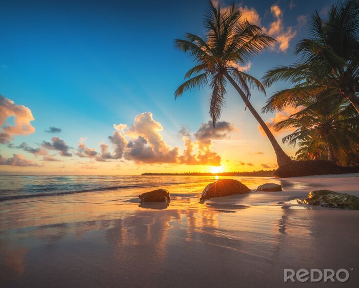 Poster Palmboom op tropisch strand