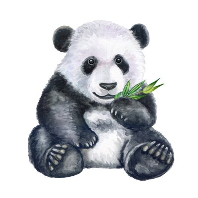 Poster Panda en bamboe tak aquarel