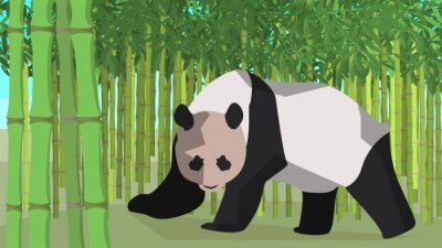 Poster Panda met bamboe op de achtergrond