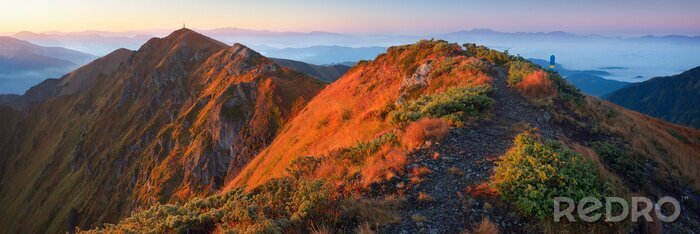 Poster Panorama van de bergen bij dageraad