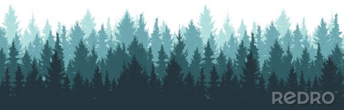 Poster Panorama van een dennenbos