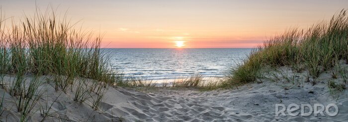 Poster Panoramic view of a dune beach at sunset, North Sea, Germany