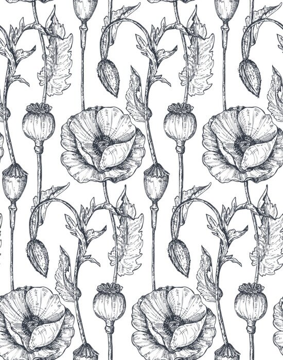 Poster Papavers en papaverkoppen geschetst patroon