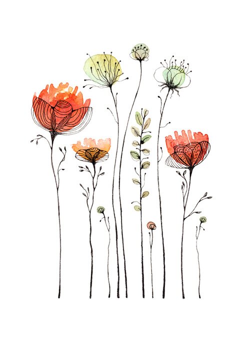Poster Papavers op een witte achtergrond geschetst met een zwarte lijn