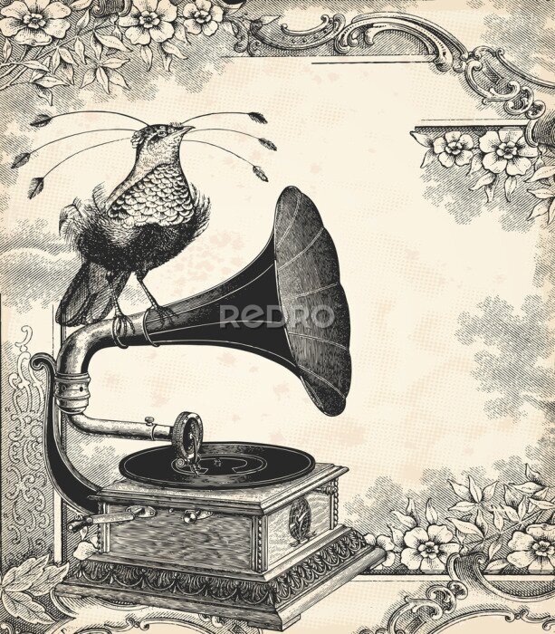 Poster Paradijsvogel en grammofoon