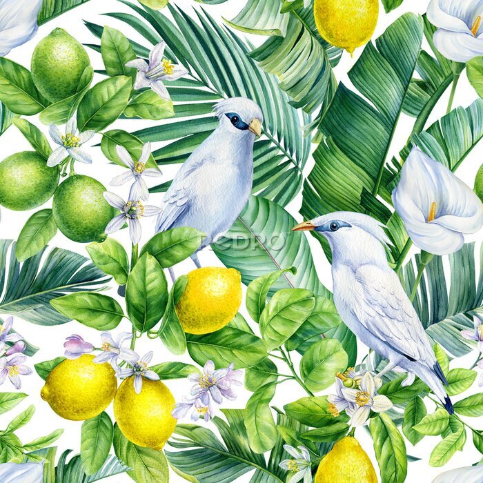 Poster Paradijsvogels tussen fruit