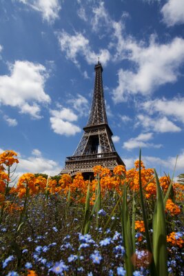 Poster Parijs en de Eiffeltoren in bloemen
