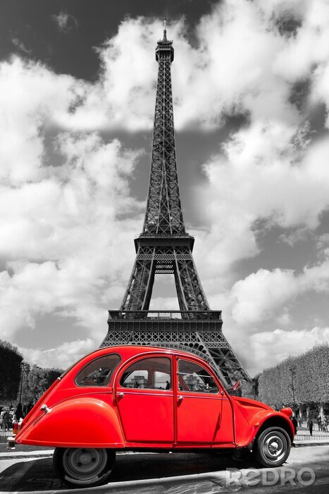 Poster Parijs zwart-wit Eiffeltoren en kever