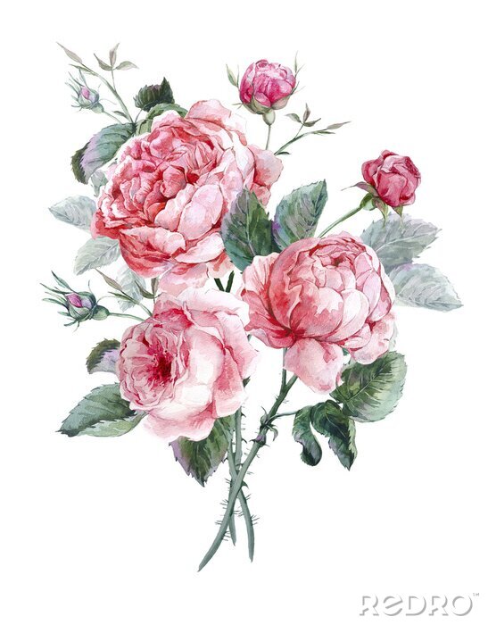 Poster Pastel wilde rozen groter en kleiner