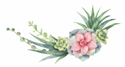 Pastelafbeeldingen met een plant
