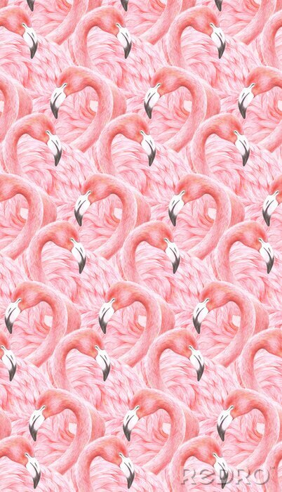 Poster Patroon met flamingo's