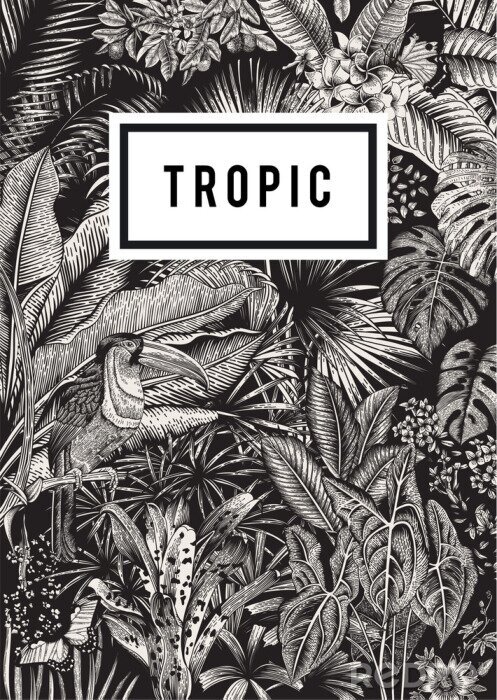 Poster Patroon met jungle en letters
