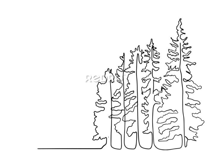 Poster Pine tree continuous line drawing art. simple forest, one line drawing of nature tree vector illustration, line drawing of forest with trees. minimal line doodle.