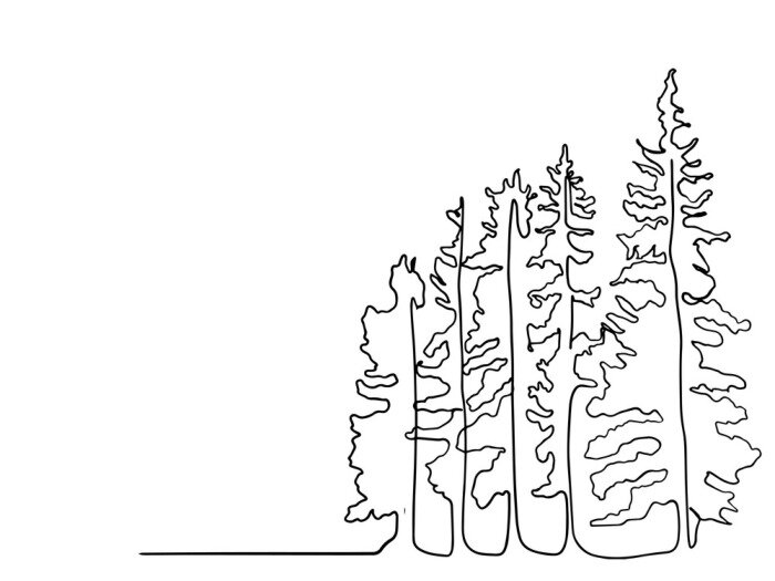 Poster Pine tree continuous line drawing art. simple forest, one line drawing of nature tree vector illustration, line drawing of forest with trees. minimal line doodle.
