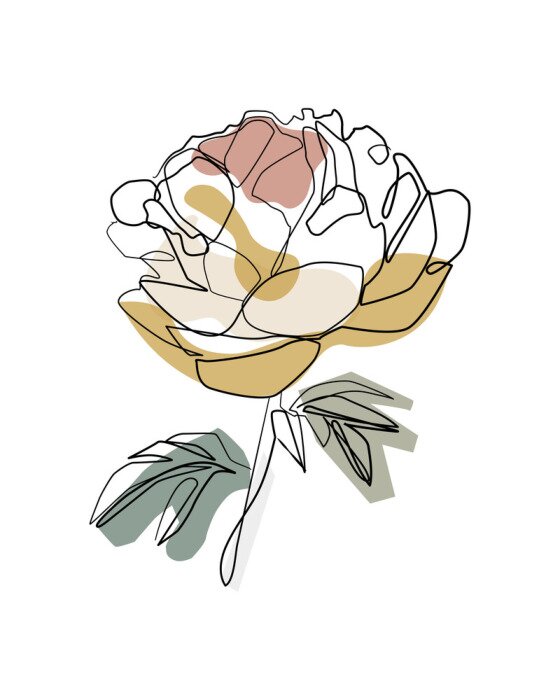 Poster Pioenroos met zwarte contouren